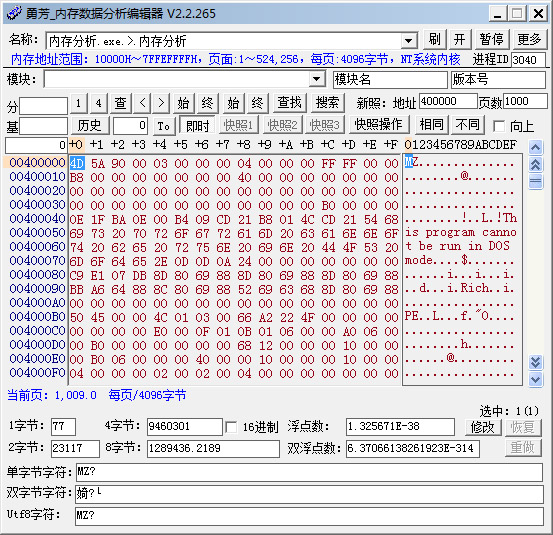  勇芳内存数据分析编辑器 V2.2.265 绿色免费版